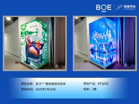 武汉***城安装调试完毕