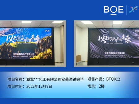 湖北***化工有限公司安装调试完毕