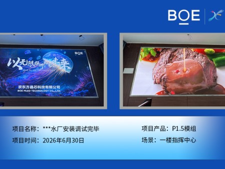 ***水厂安装调试完毕