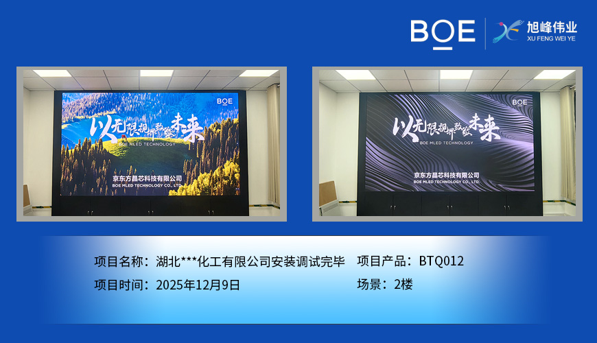 湖北***化工有限公司安装调试完毕